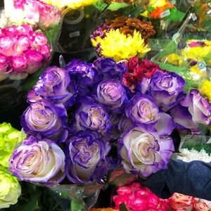 Meet your Posher, Margaret